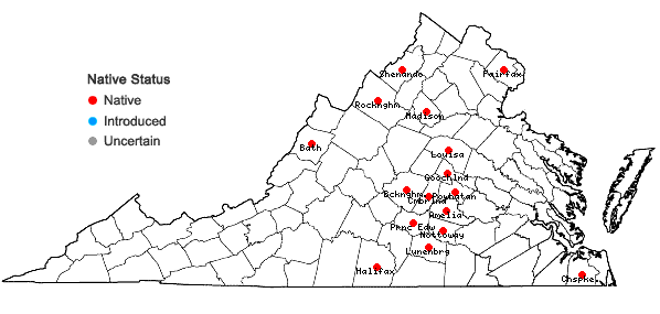 Locations ofViola palmata L. var. palmata in Virginia