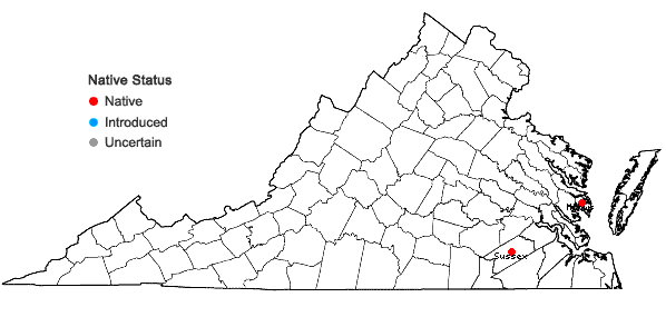 Locations ofViola pectinata E.P. Bickn. in Virginia