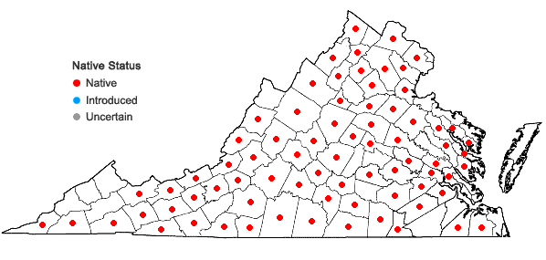 Locations ofViola pedata L. in Virginia