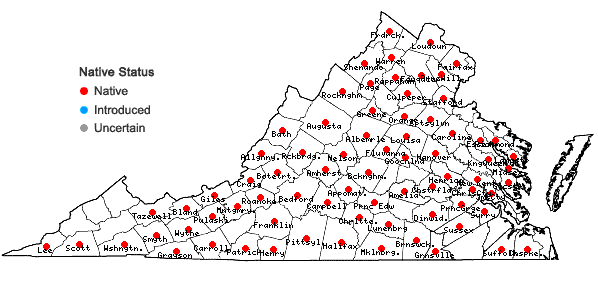 Locations ofViola pedata L. ssp. pedata in Virginia