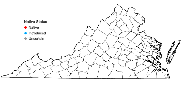 Locations ofViola pedata  L. ssp. cuneatiloba (Brainerd ex Fernald) H.E.Ballard in Virginia