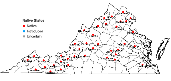 Locations ofViola pubescens Aiton in Virginia