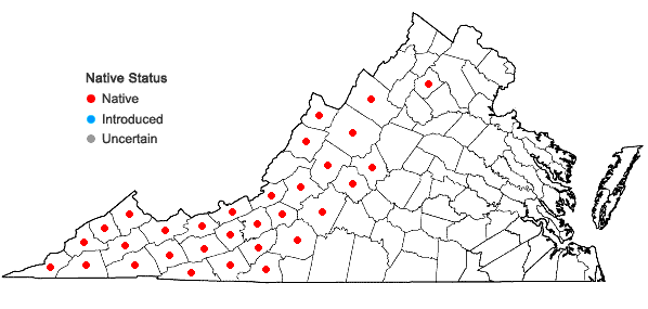 Locations ofViola rotundifolia Michx. in Virginia