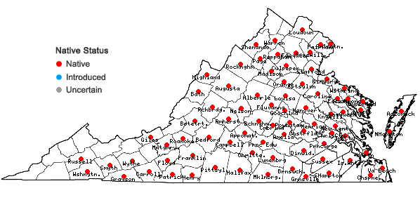 Locations ofViola sagittata Aiton in Virginia