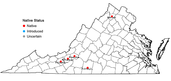 Locations ofViola septentrionalis Greene in Virginia