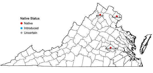 Locations ofViola stoneana House in Virginia