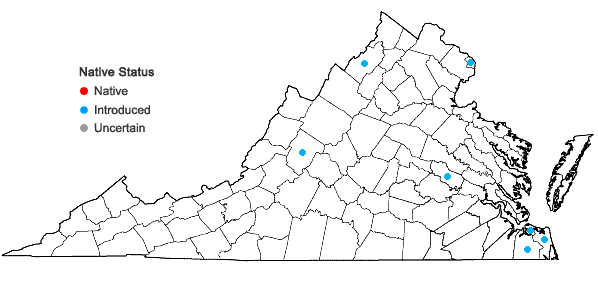 Locations ofViola tricolor L. in Virginia