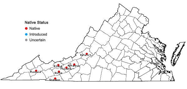 Locations ofViola walteri House in Virginia