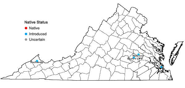 Locations ofVitex agnus-castus L. in Virginia