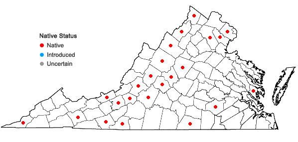 Locations ofVitis aestivalis Michx. var. bicolor Deam in Virginia