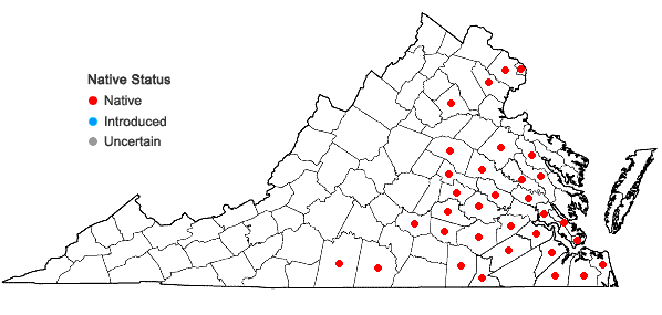 Locations ofVitis cinerea (Engelm.) Engelm. ex Millardet var. floridana Munson in Virginia