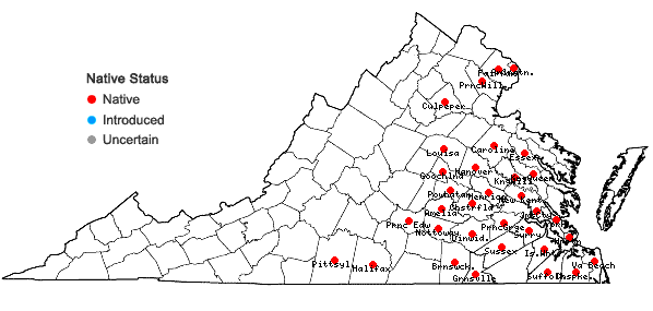 Locations ofVitis cinerea (Engelm.) Engelm. ex Millardet var. floridana Munson in Virginia