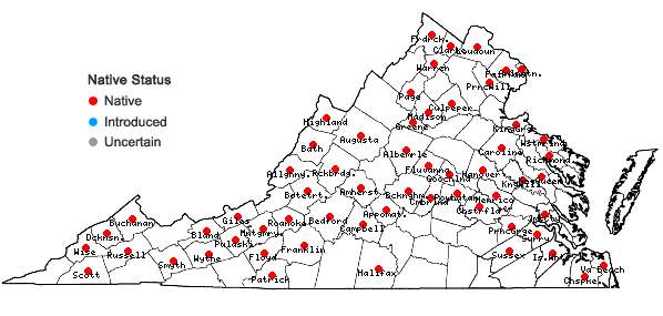 Locations ofVitis riparia Michx. in Virginia