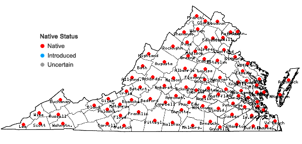 Locations ofVitis vulpina L. in Virginia