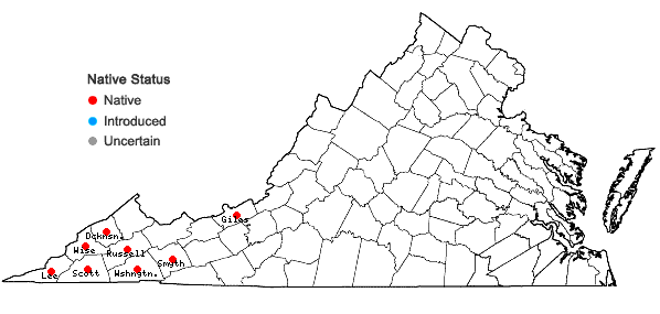 Locations ofVittaria appalachiana Farrar & Mickel in Virginia