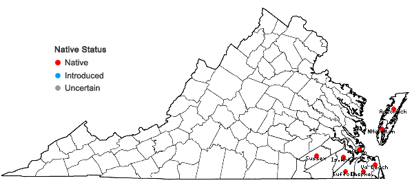 Locations ofVulpia elliotea (Raf.) Fern. in Virginia