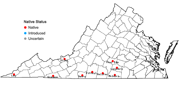 Locations ofWaldsteinia fragarioides (Michx.) Tratt. ssp. doniana (Tratt.) Teppner in Virginia