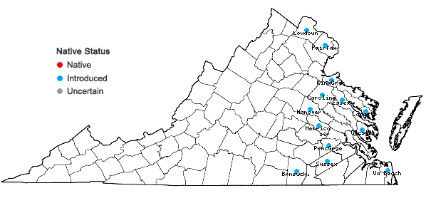 Locations ofWisteria floribunda (Willd.) DC. in Virginia