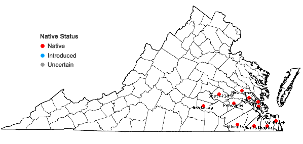 Locations ofWisteria frutescens (L.) Poir. var. frutescens in Virginia