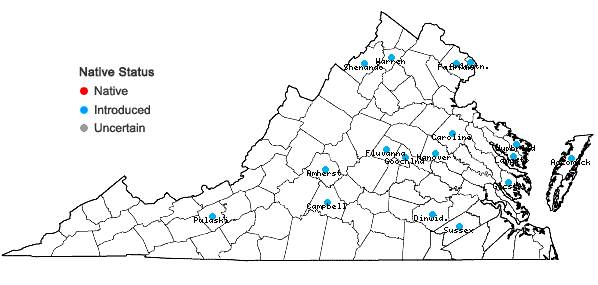 Locations ofWisteria frutescens (L.) Poir. var. macrostachya Torr. & A. Gray in Virginia
