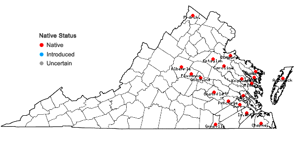 Locations ofWolffia columbiana Karst. in Virginia