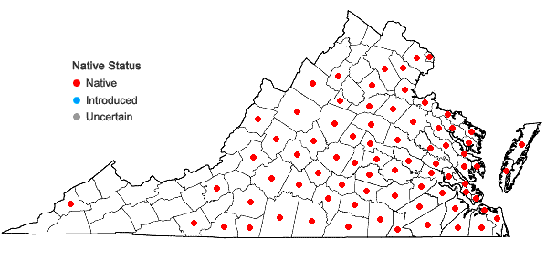 Locations ofWoodwardia areolata (L.) T. Moore in Virginia