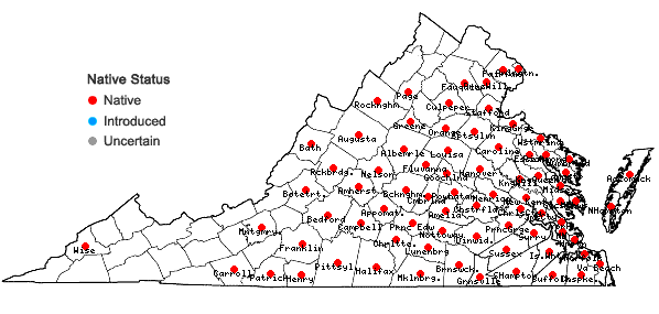 Locations ofWoodwardia areolata (L.) T. Moore in Virginia