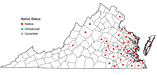 Locations ofWoodwardia virginica (L.) Sm. in Virginia