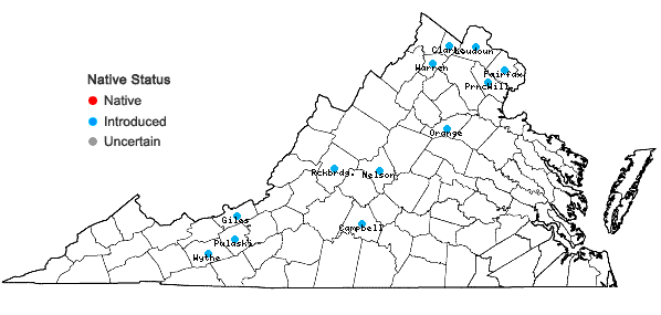 Locations ofXanthium spinosum L. in Virginia