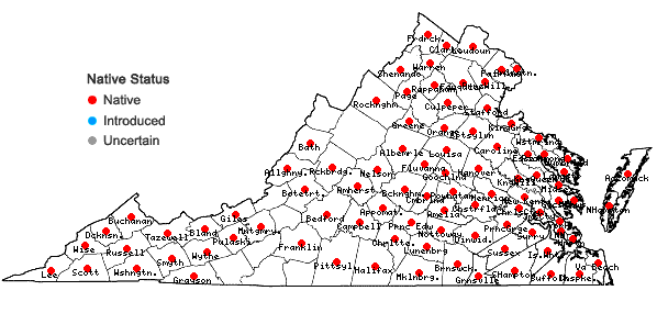 Locations ofXanthium strumarium L. in Virginia