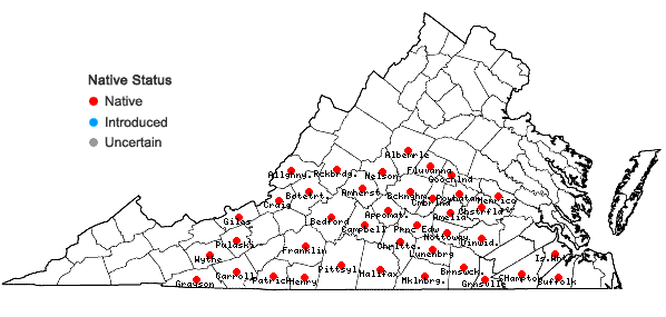 Locations ofXanthorhiza simplicissima Marsh. in Virginia
