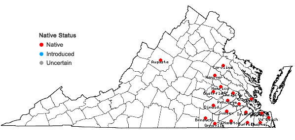 Locations ofXyris ambigua Beyrich ex Kunth in Virginia