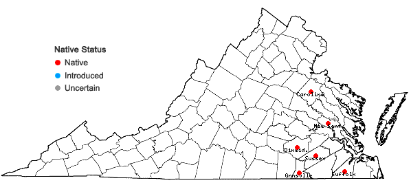 Locations ofXyris curtisii Malme in Virginia