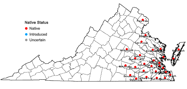 Locations ofXyris difformis Chapman in Virginia