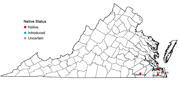Locations ofXyris laxifolia Mart. var. iridifolia (Chapman) Kral in Virginia