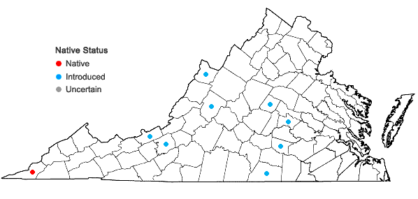 Locations ofYucca flaccida Haworth in Virginia