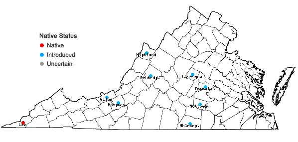 Locations ofYucca flaccida Haworth in Virginia