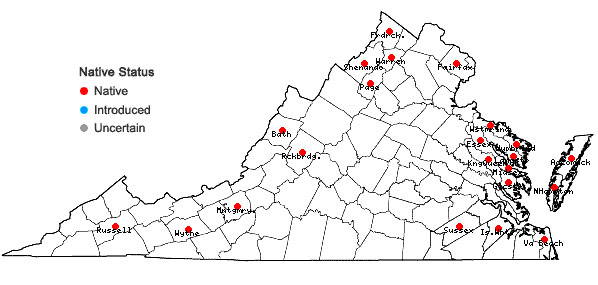 Locations ofZannichellia palustris L. in Virginia