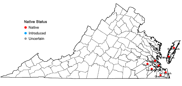 Locations ofZanthoxylum clava-herculis L. in Virginia