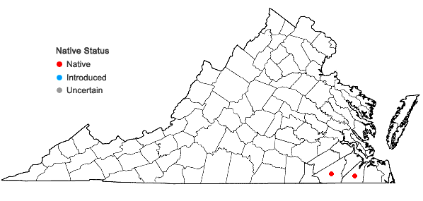 Locations ofZenobia pulverulenta (Bartr. ex Willd.) Pollard in Virginia