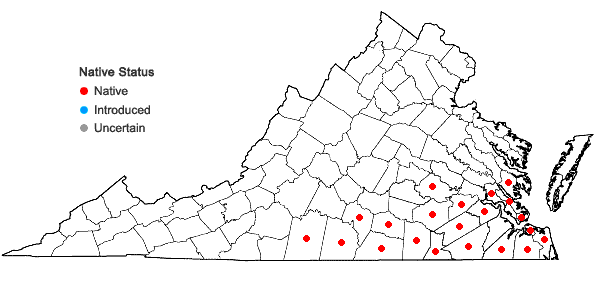 Locations ofZephyranthes atamasco (L.) Herbert in Virginia