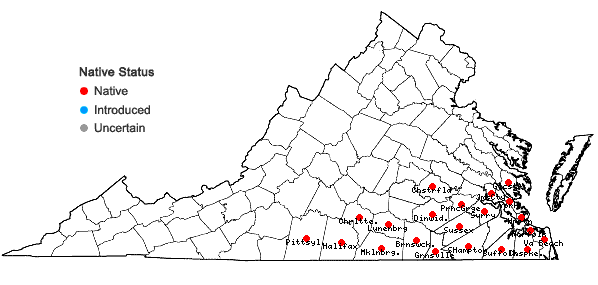 Locations ofZephyranthes atamasco (L.) Herbert in Virginia