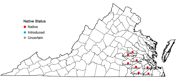 Locations ofZigadenus glaberrimus Michx. in Virginia