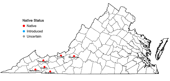 Locations ofZygodon viridissimus (Dickson) Brid. var. rupestris Lindb. in Virginia