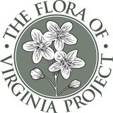 Flora of Virginia Logo