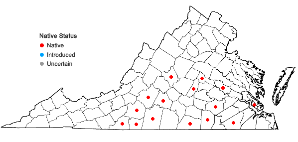 Locations ofAbdra brachycarpa (Nuttall ex Torrey & A. Gray) E.L. Greene in Virginia