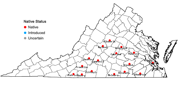 Locations ofAbdra brachycarpa (Nuttall ex Torrey & A. Gray) E.L. Greene in Virginia