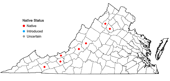 Locations ofAbietinella abietina (Hedw.) M. Fleisch. in Virginia