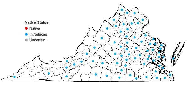 Locations ofAbutilon theophrasti Medik. in Virginia