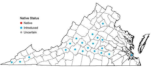 Locations ofAcalypha ostryifolia Riddell in Virginia